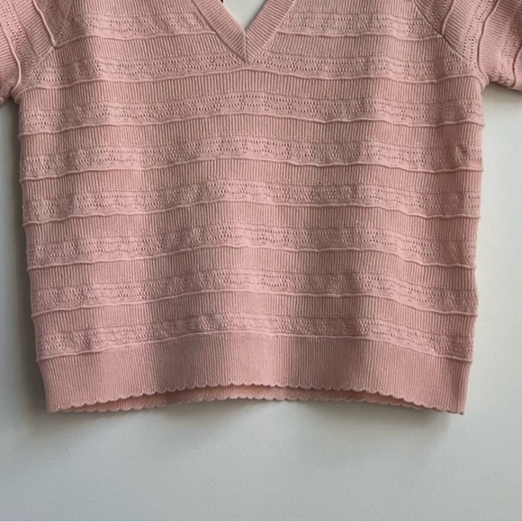 Joie Anoushka Ribbed Pointelle Short-Sleeve Eyelet Merino Wool Sweater Large - Picture 3 of 3